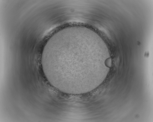 X0000090490870200708102216