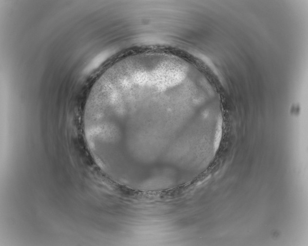 X0000090490871200708102216