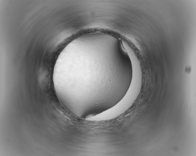 X0000090490872200708102216