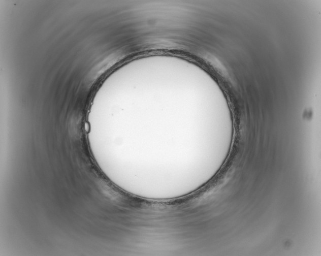 X0000090490873200708102216