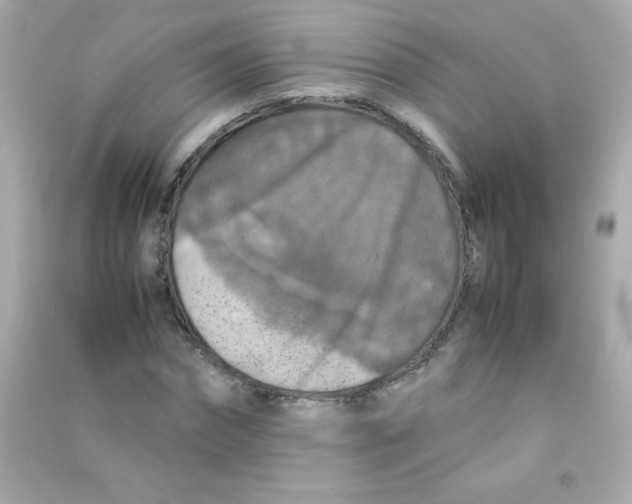 X0000090490874200708102216