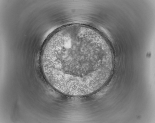 X0000090490875200708102216