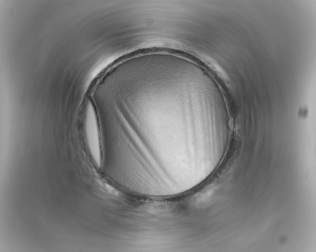 X0000090490877200708102216