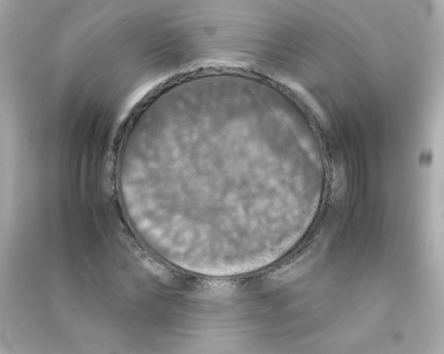 X0000090490878200708102216