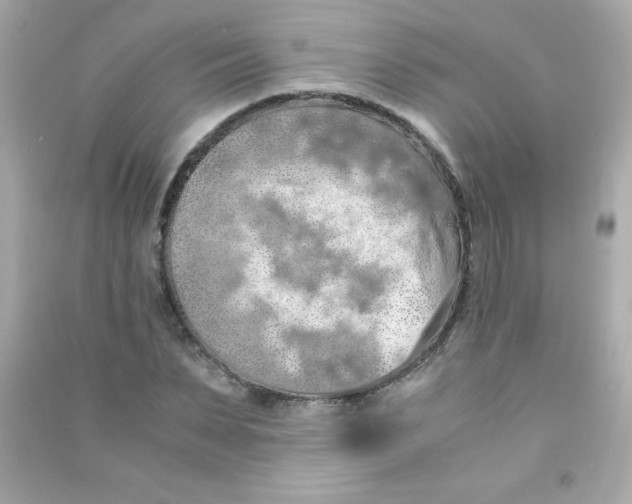 X0000090490879200708102216