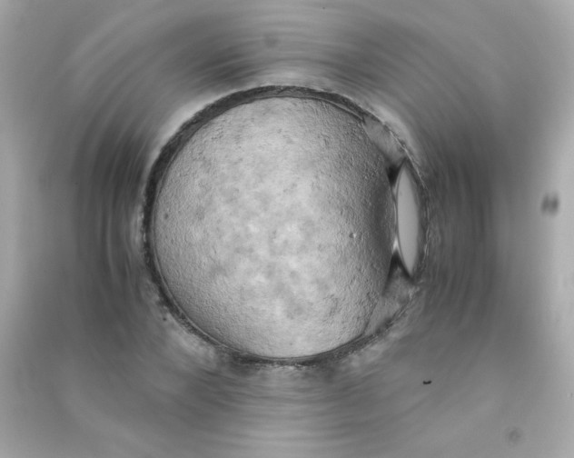 X0000090490880200708102216