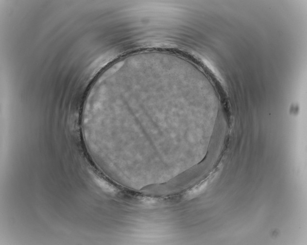 X0000090490881200708102216