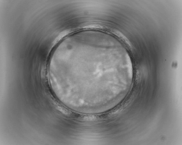 X0000090490882200708102216