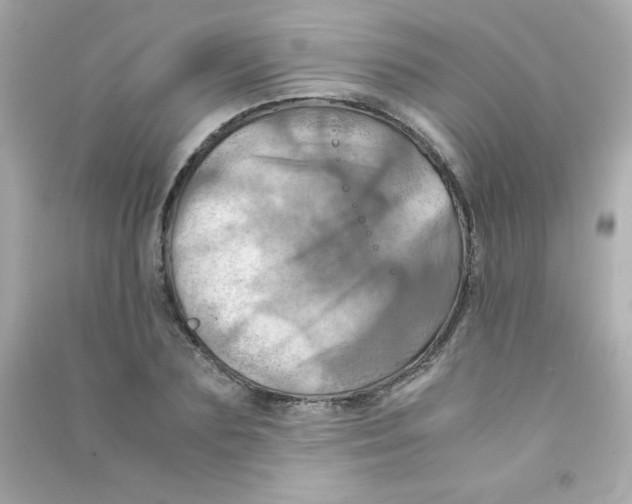 X0000090490883200708102216