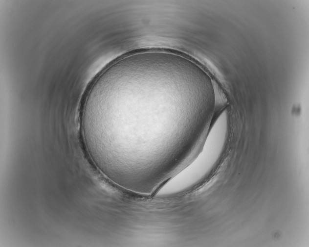 X0000090490885200708102216