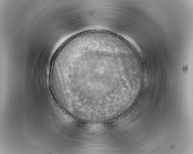 X0000090490886200708102216