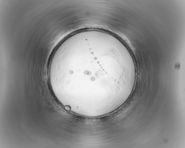 X0000090490887200708102216