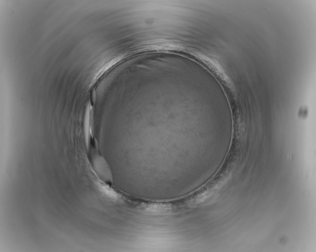 X0000090490889200708102216