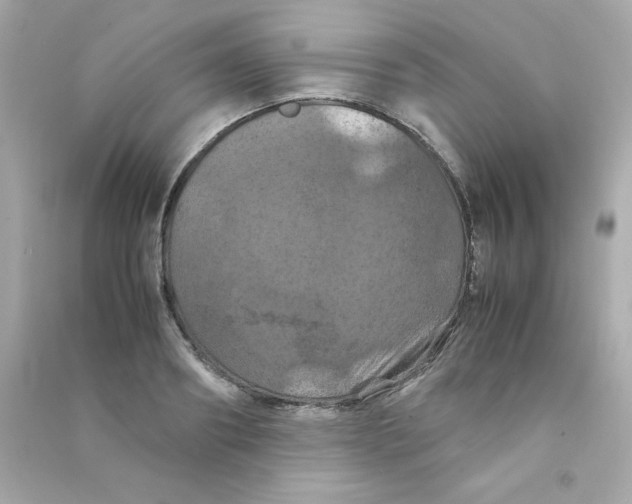 X0000090490890200708102216