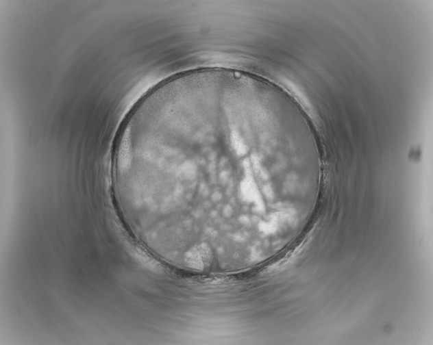 X0000090490891200708102216