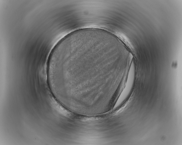 X0000090490892200708102216