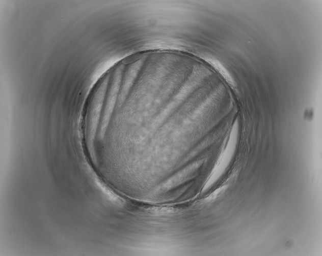 X0000090490893200708102216