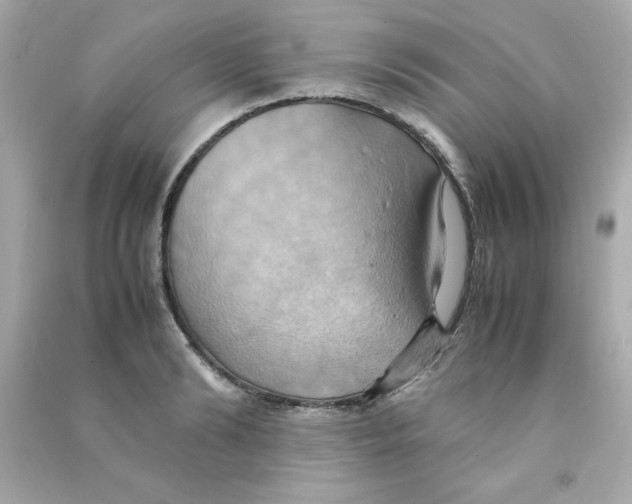 X0000090490894200708102216