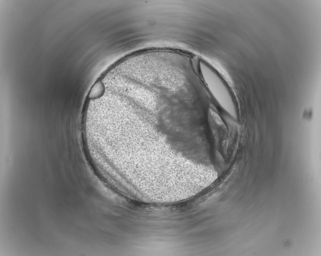 X0000090490895200708102216