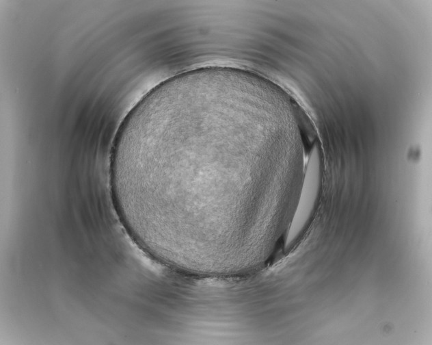 X0000090490898200708102216