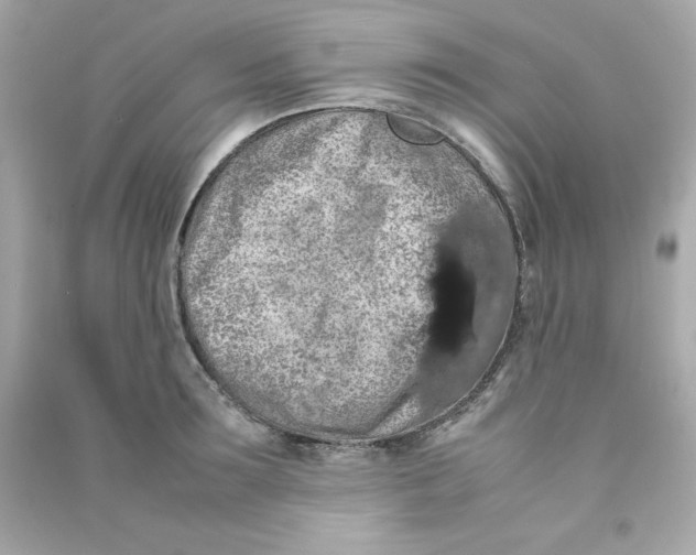 X0000090490899200708102216