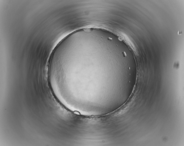 X0000090490900200708102216