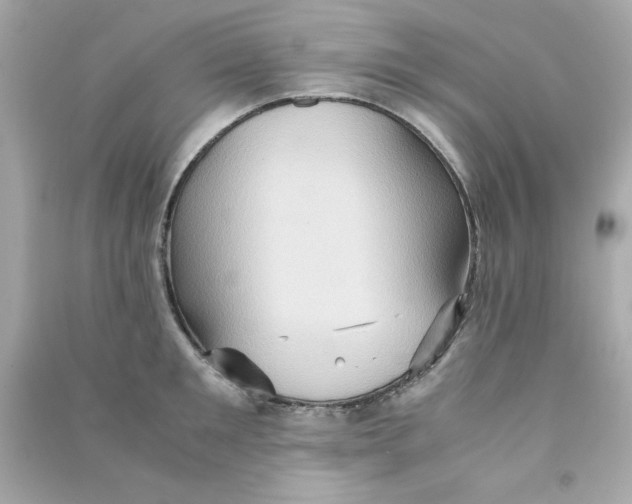 X0000090490901200708102216