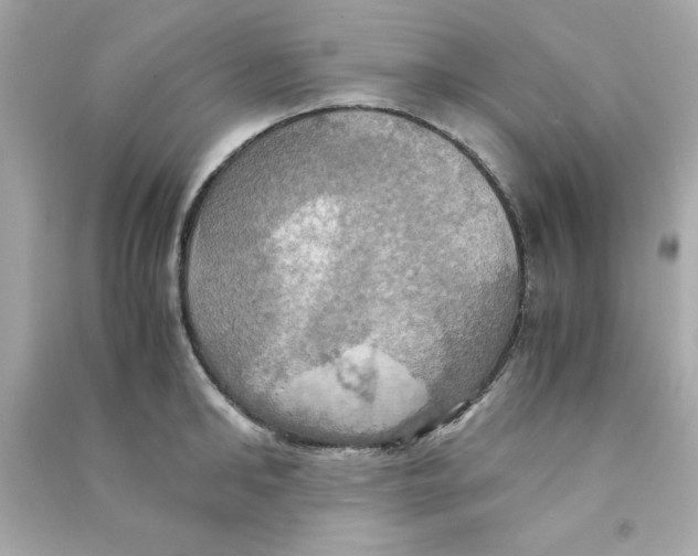 X0000090490902200708102216