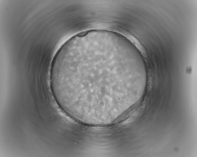 X0000090490904200708102216