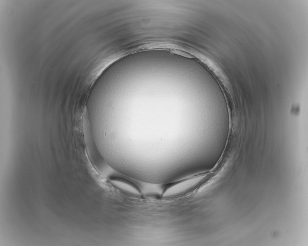 X0000090490905200708102216