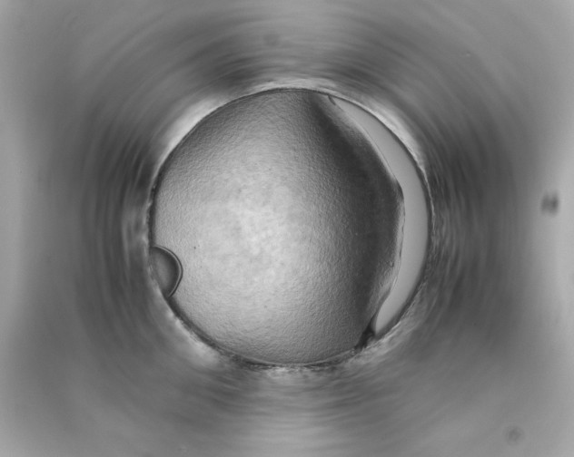 X0000090490906200708102216