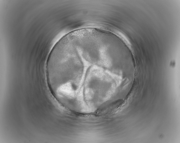 X0000090490907200708102216