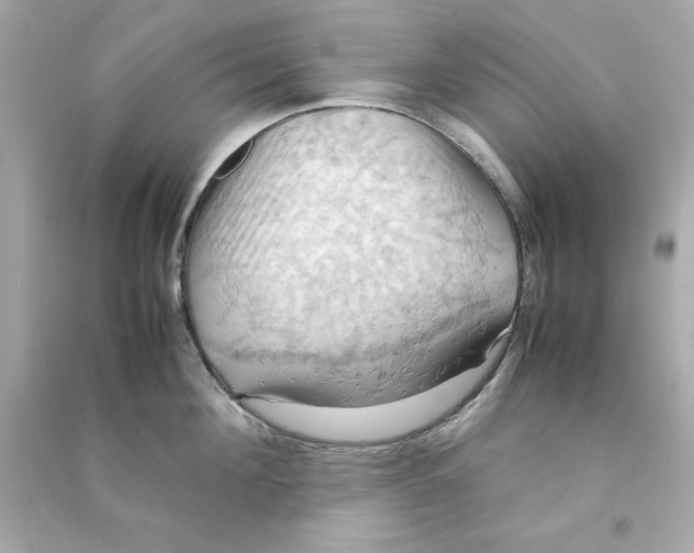 X0000090490908200708102216