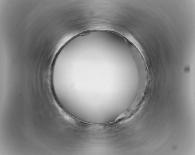 X0000090490909200708102216