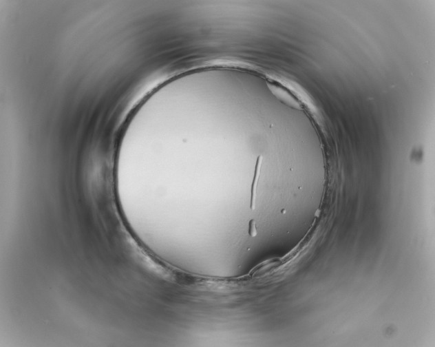 X0000090490910200708102216