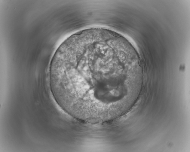 X0000090490911200708102216