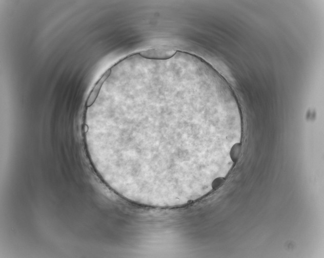 X0000090490912200708102216