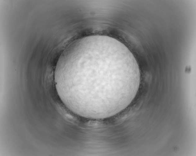 X0000090490914200708102215