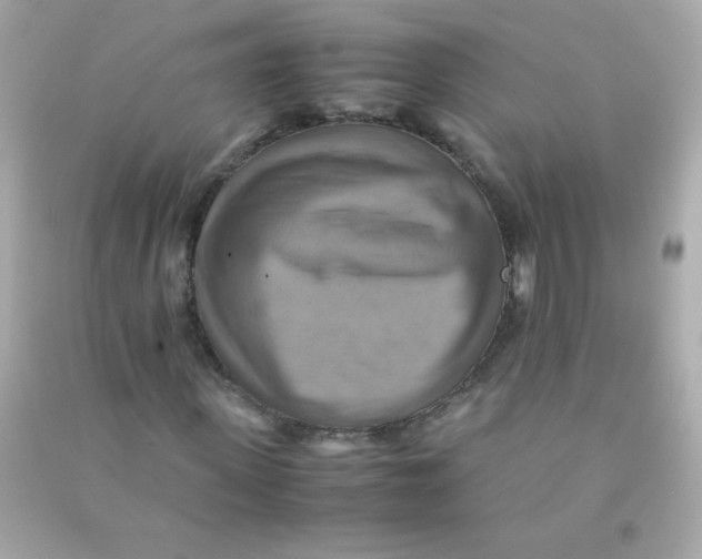 X0000090490915200708102215