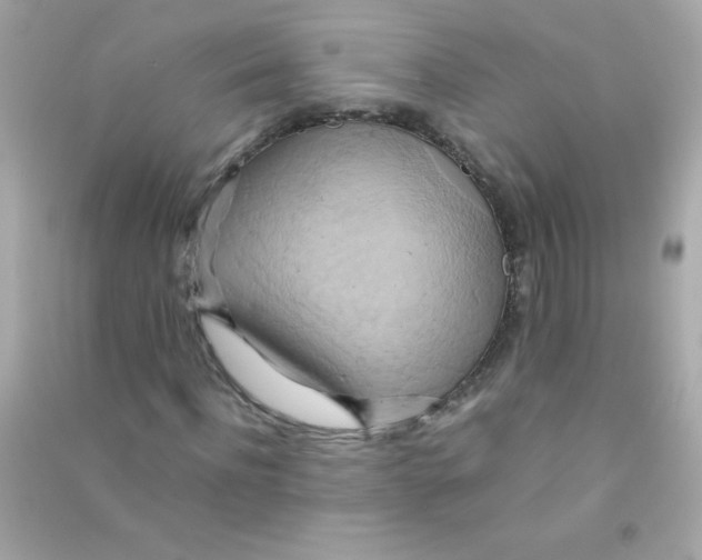 X0000090490916200708102215