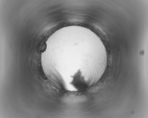 X0000090490917200708102215