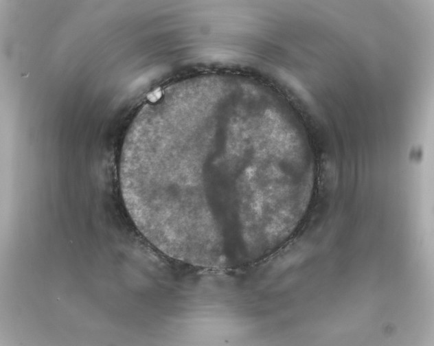 X0000090490918200708102215