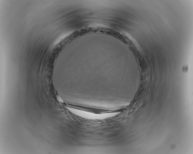 X0000090490919200708102215