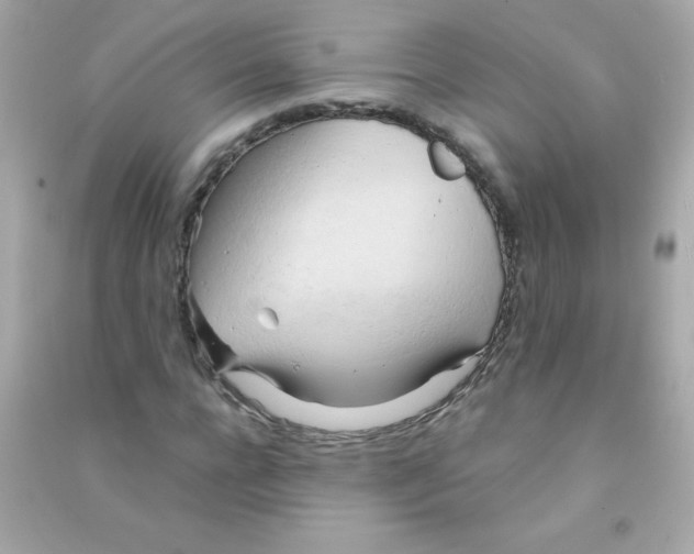 X0000090490920200708102215