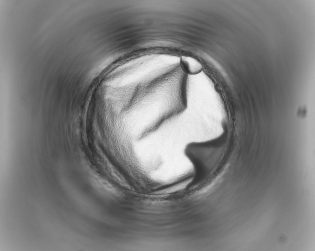 X0000090490921200708102215