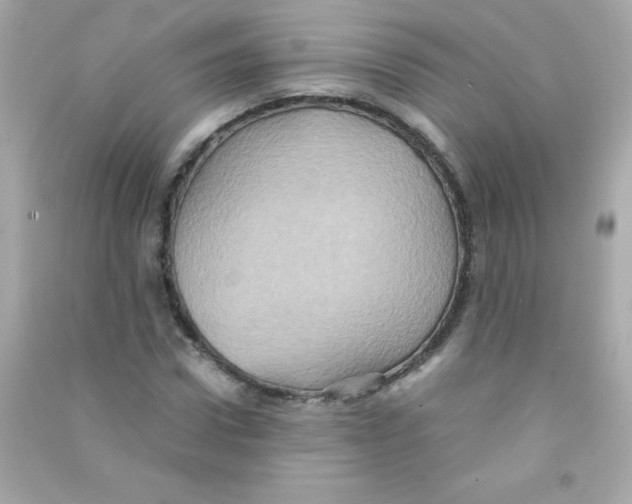 X0000090490922200708102215