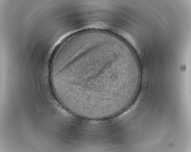 X0000090490923200708102215