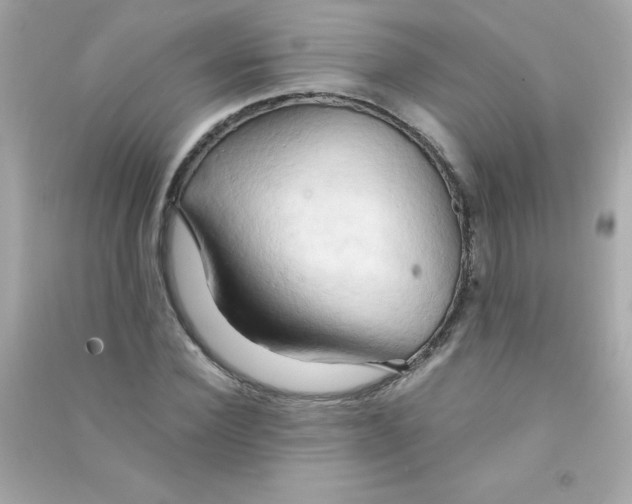 X0000090490924200708102215