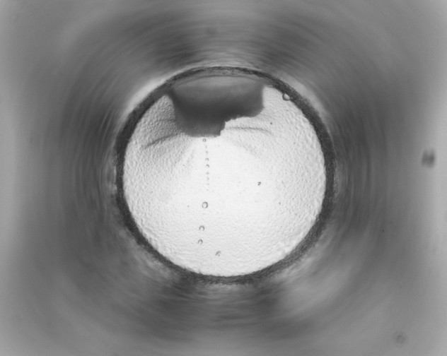 X0000090490925200708102215