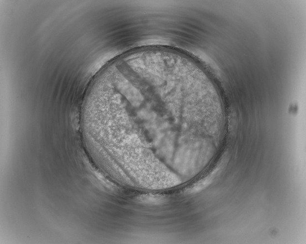 X0000090490929200708102215